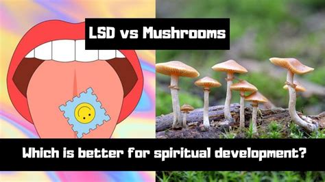 The Therapeutic Potential of Magic Mushrooms for PTSD and Depression